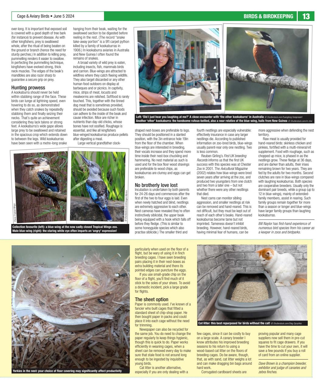 Cage & Aviary Birds Preview Pages