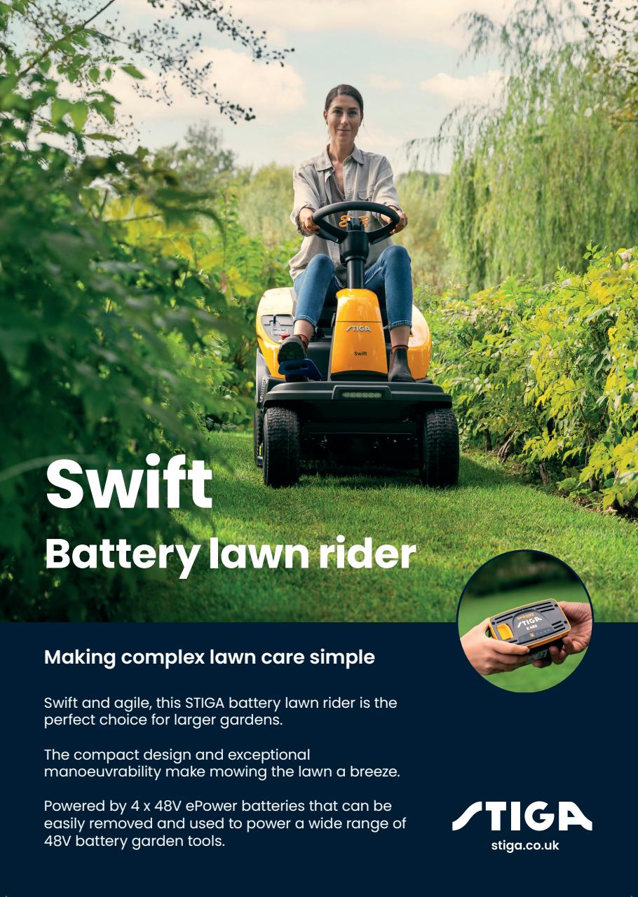 The Lady Preview Pages