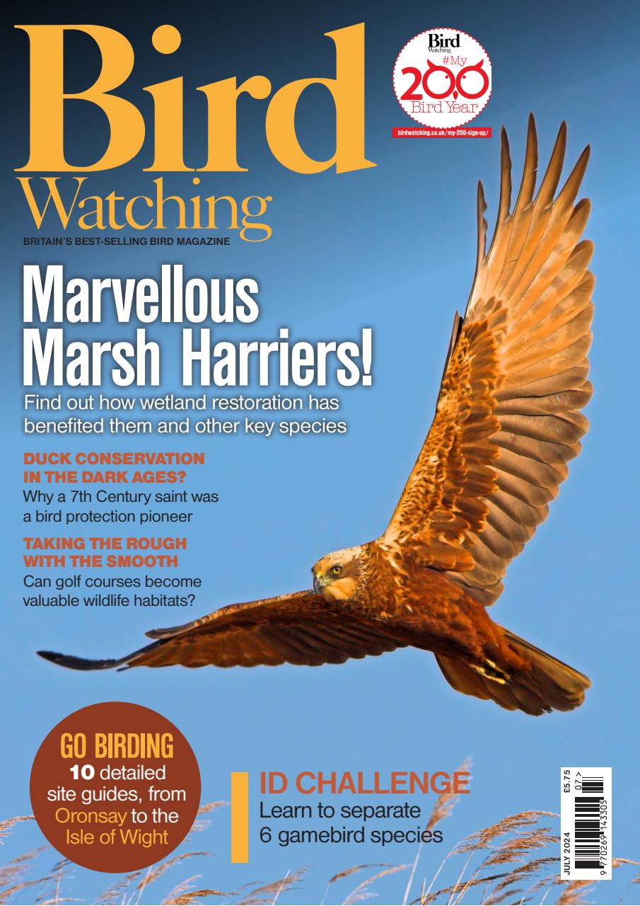 Bird Watching Preview Pages