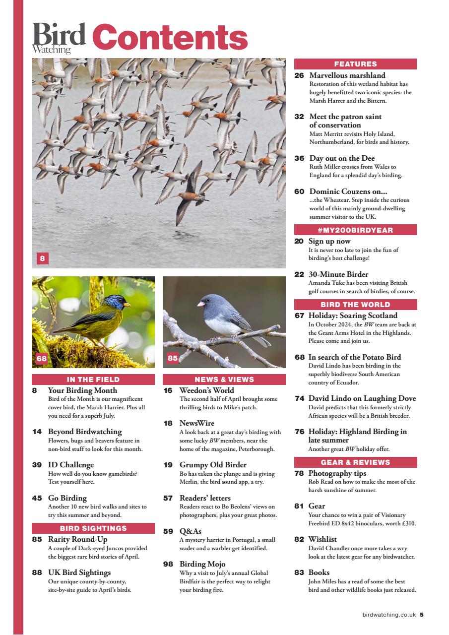 Bird Watching Preview Pages