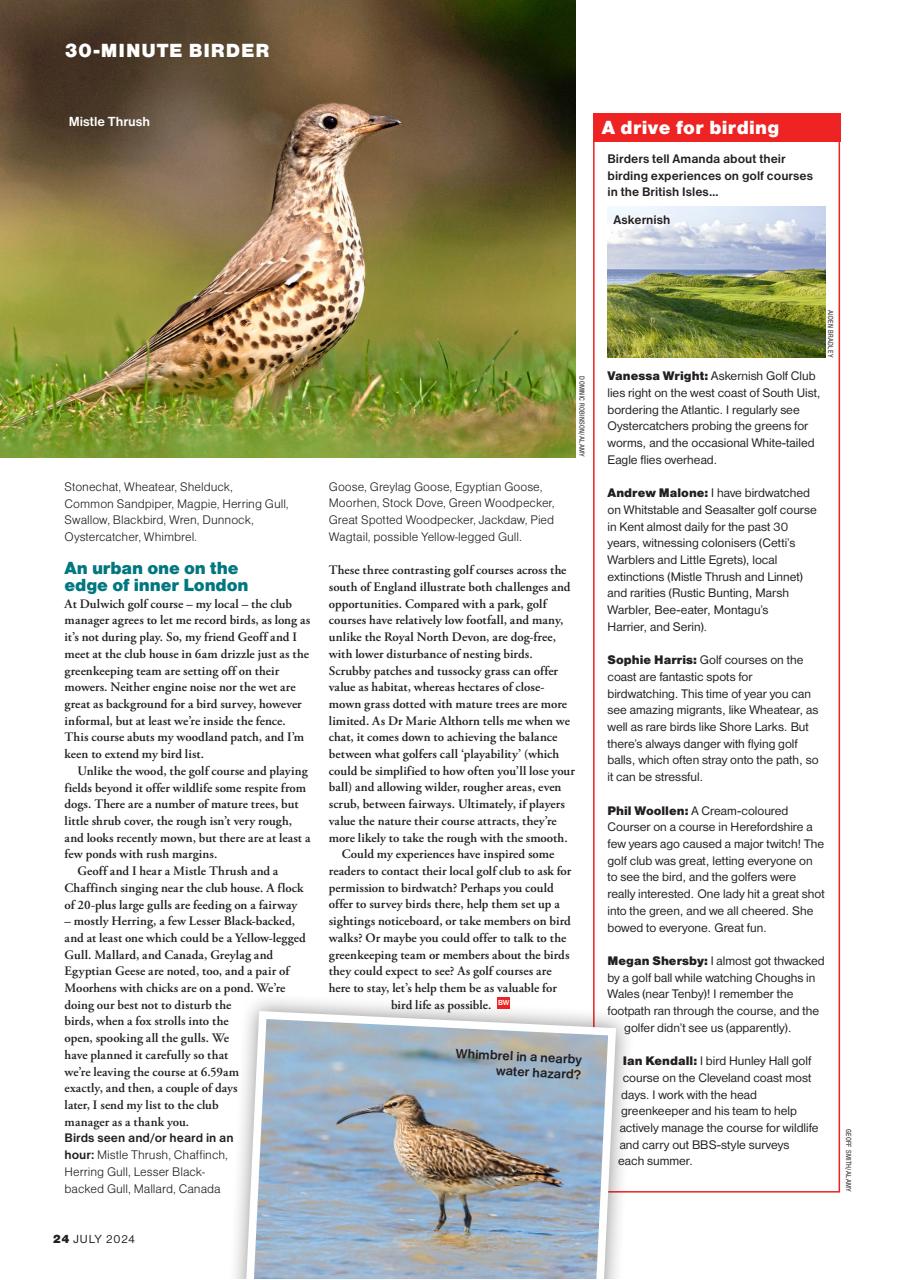 Bird Watching Preview Pages