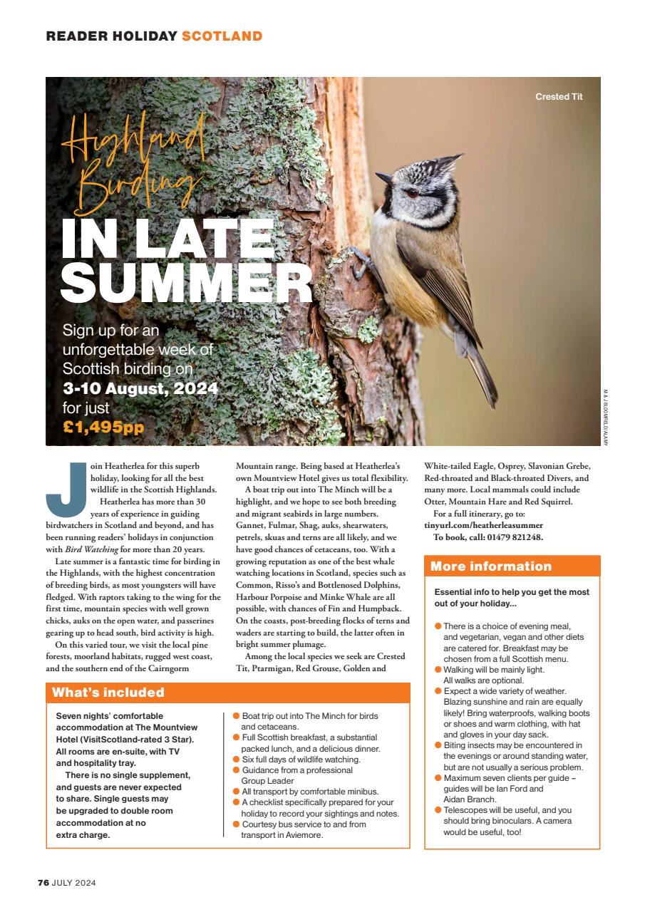 Bird Watching Preview Pages