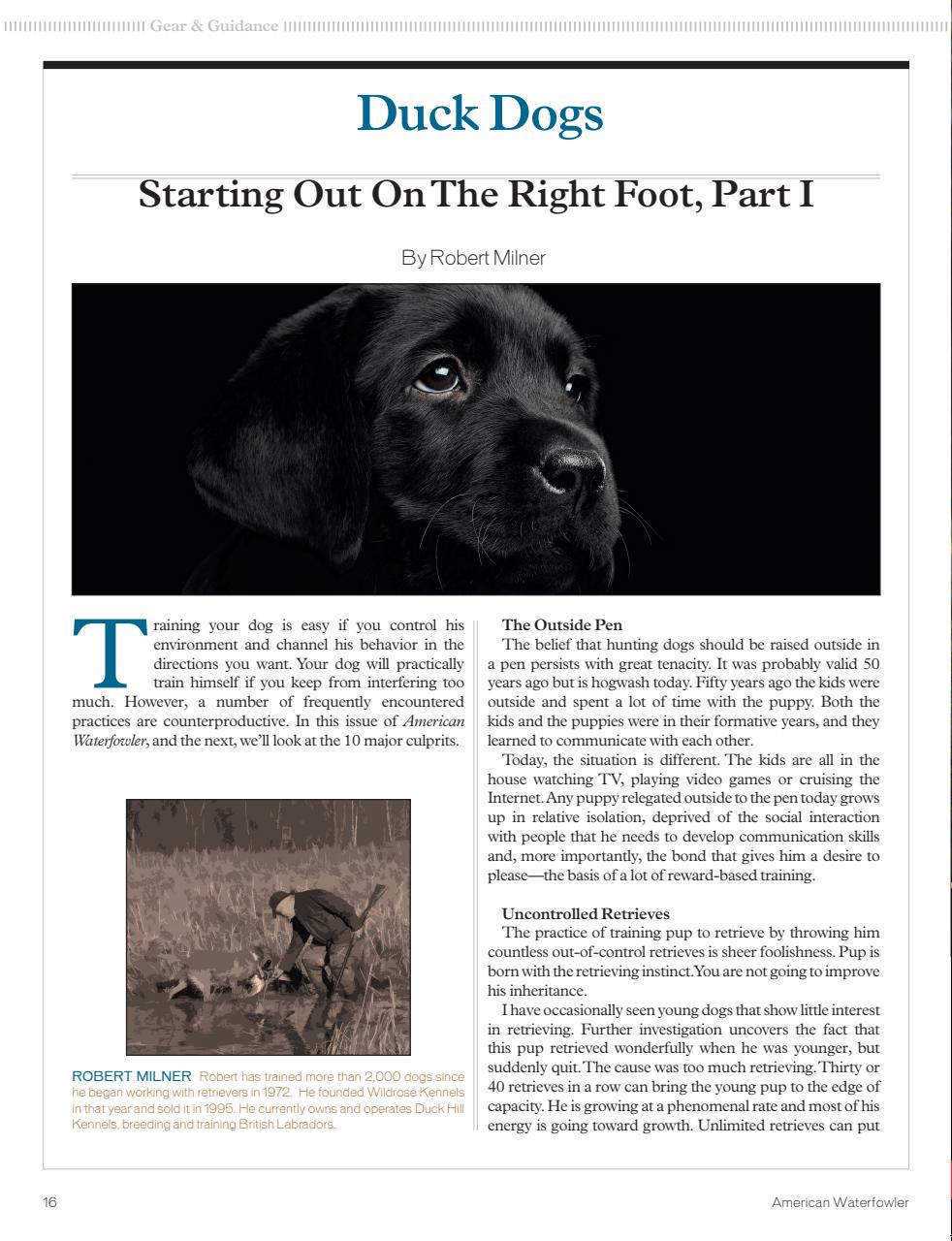 American Waterfowler Preview Pages