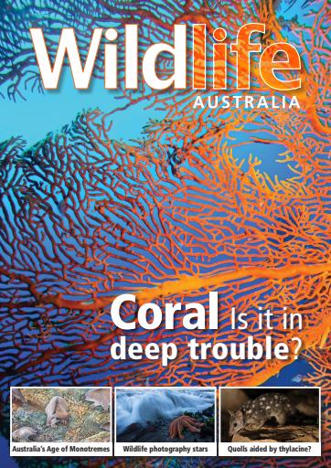 Wildlife Australia issue 