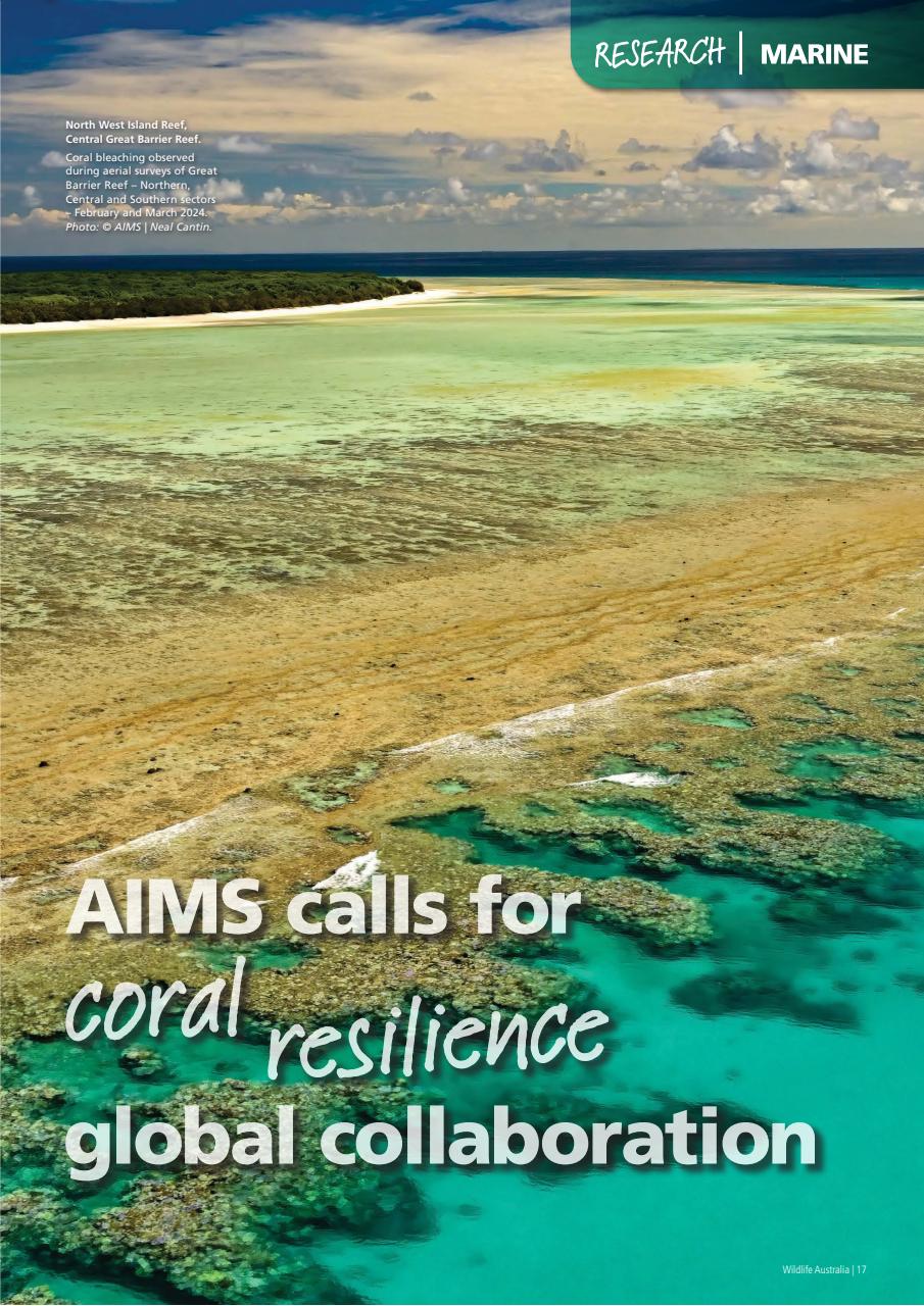 Wildlife Australia Preview Pages