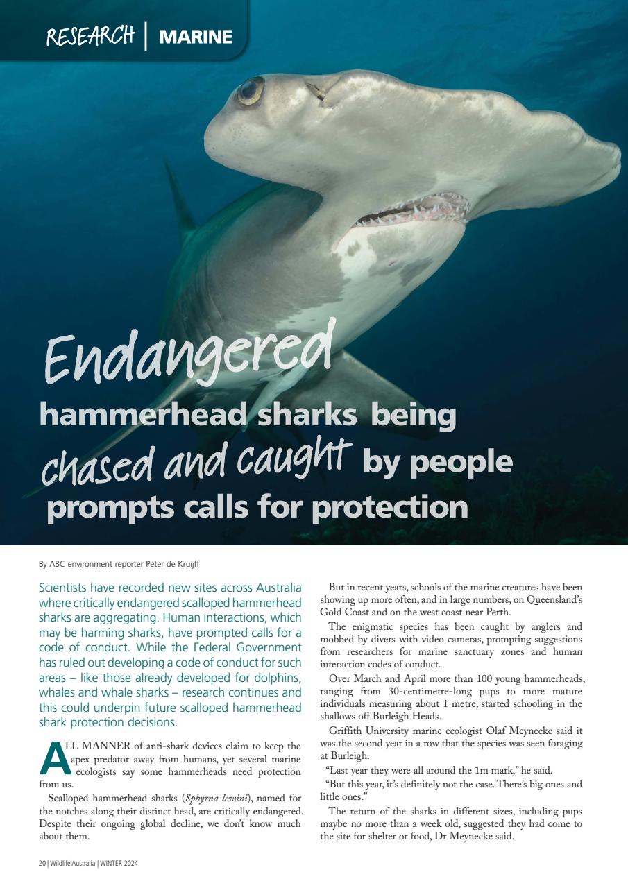 Wildlife Australia Preview Pages