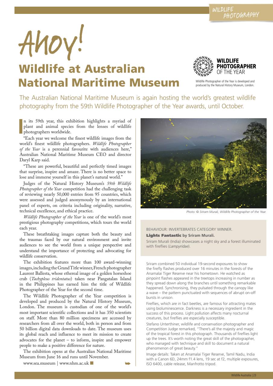 Wildlife Australia Preview Pages