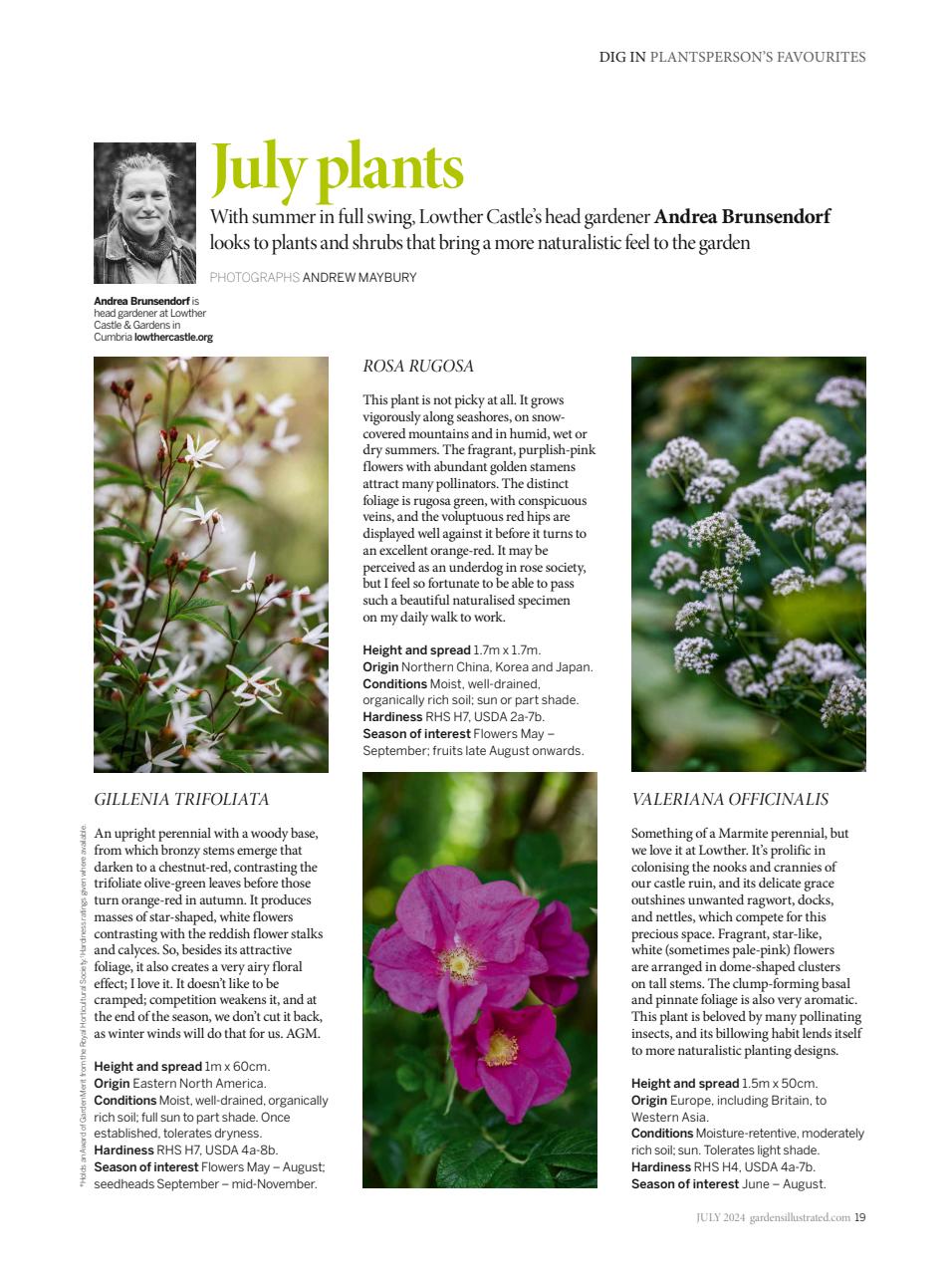 Gardens Illustrated Preview Pages