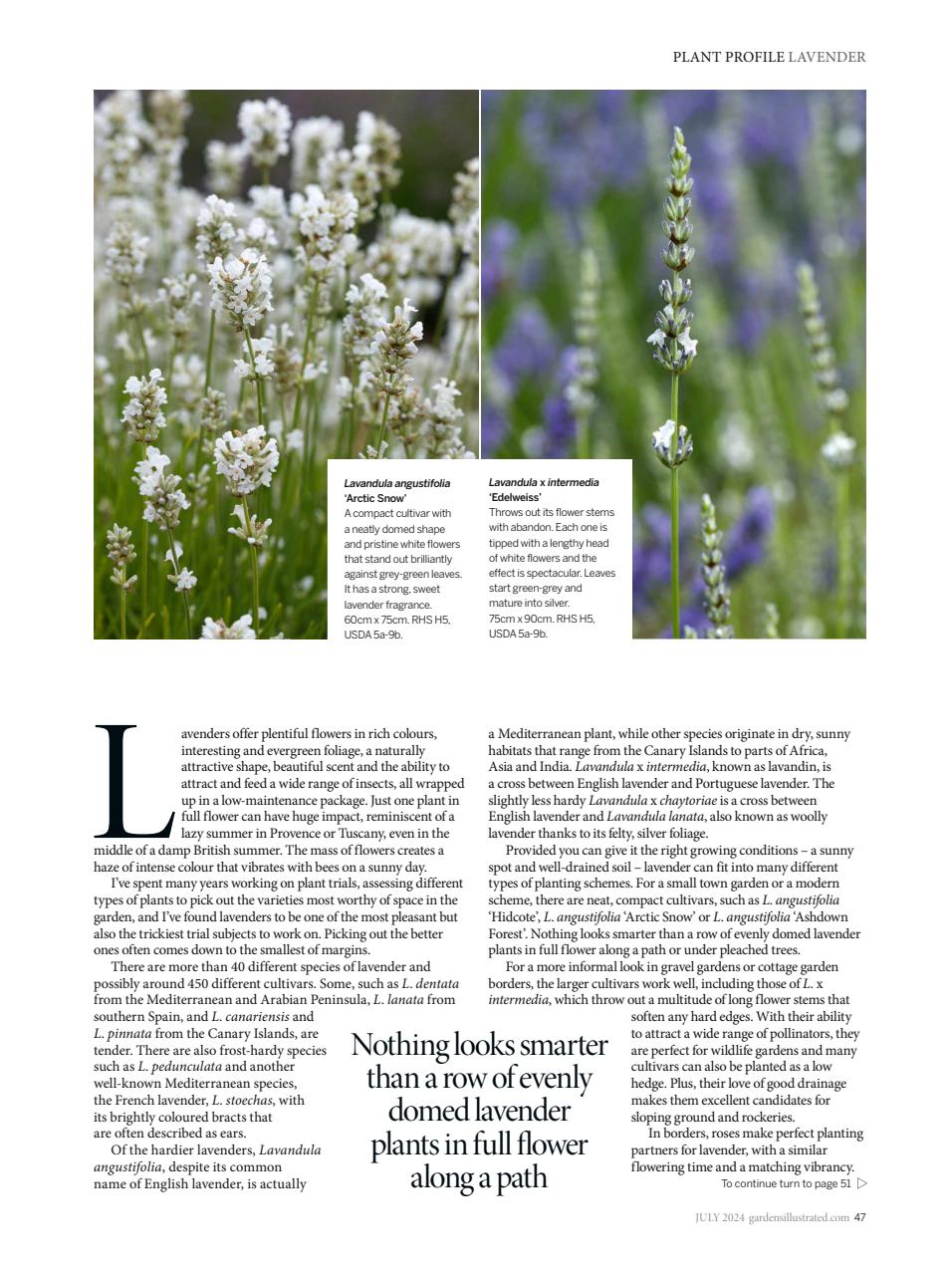 Gardens Illustrated Preview Pages