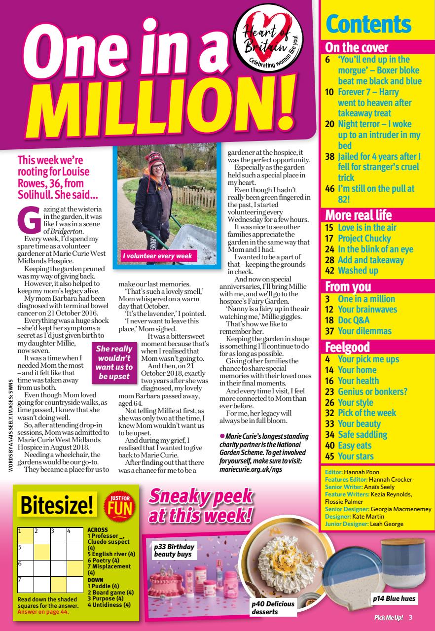 Pick Me Up Preview Pages