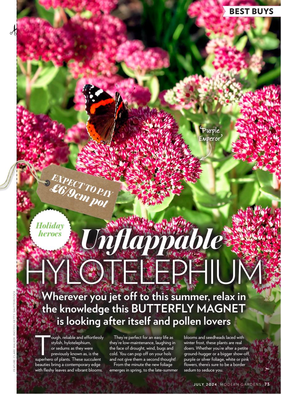 Modern Gardens Preview Pages
