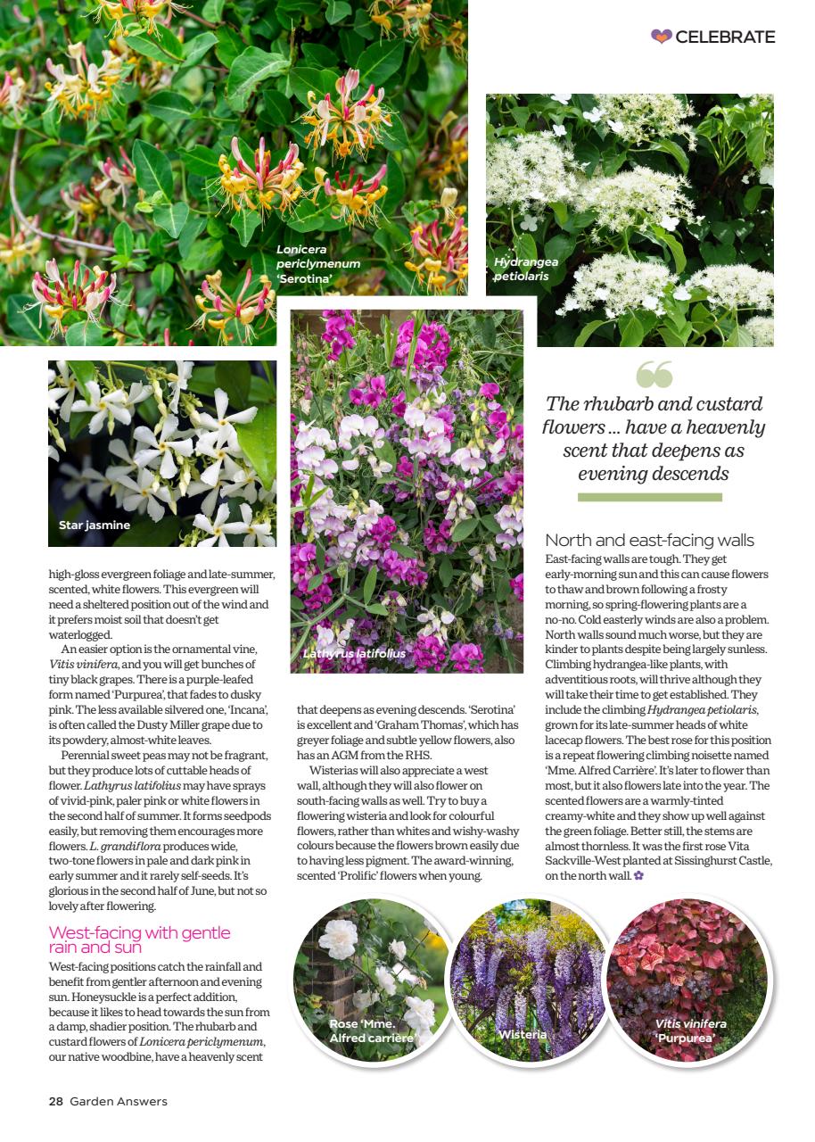 Garden Answers Preview Pages