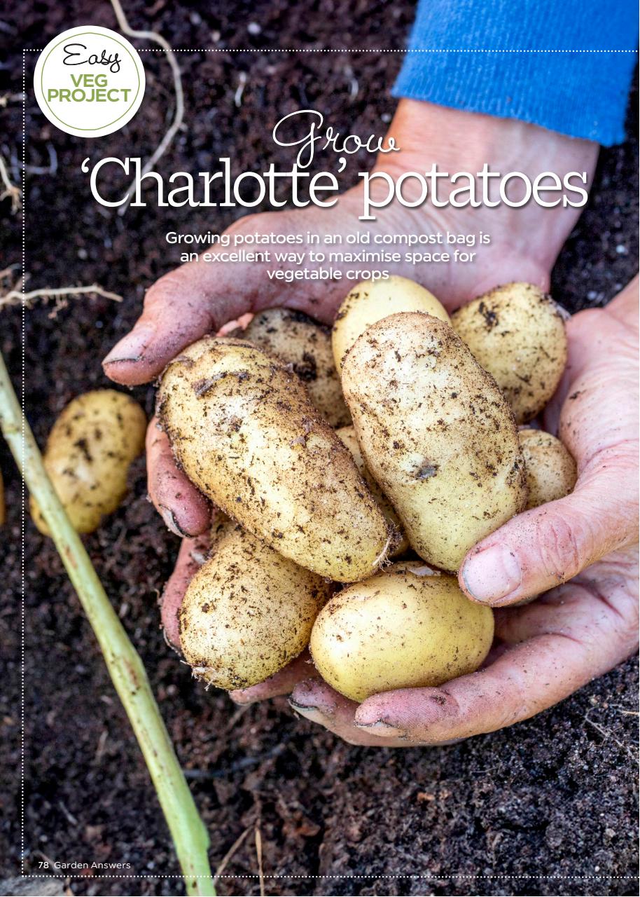 Garden Answers Preview Pages