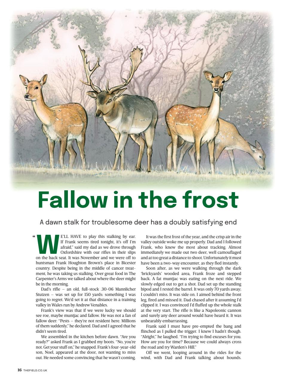 The Field Preview Pages