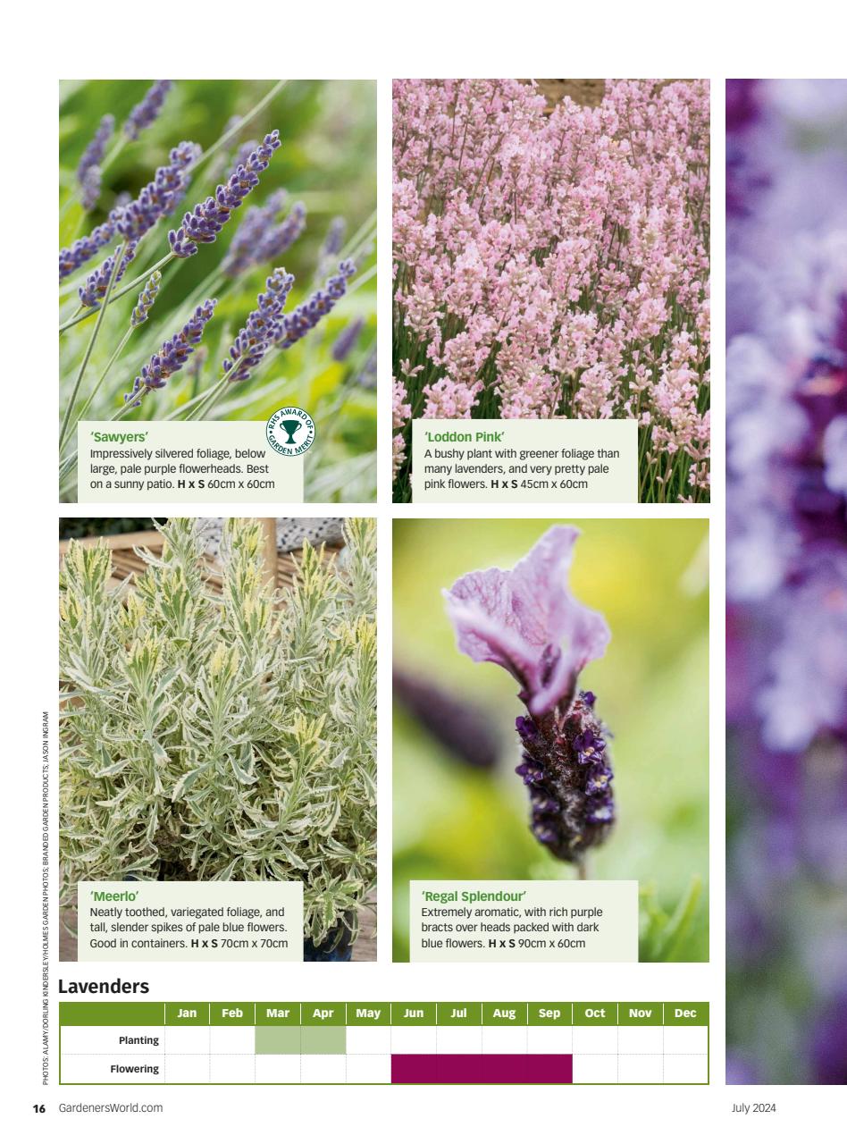 BBC Gardeners’ World Magazine Preview Pages