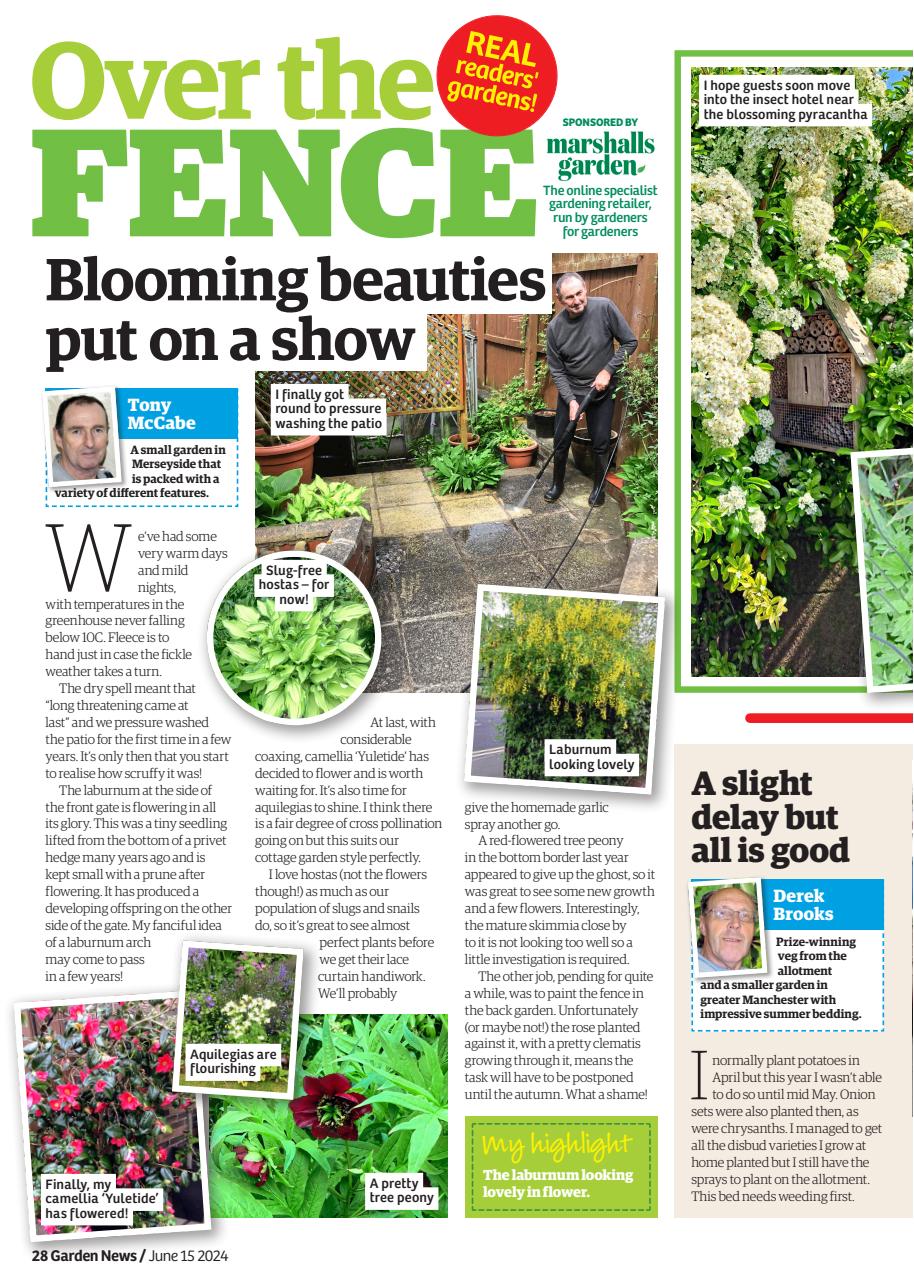 Garden News Preview Pages