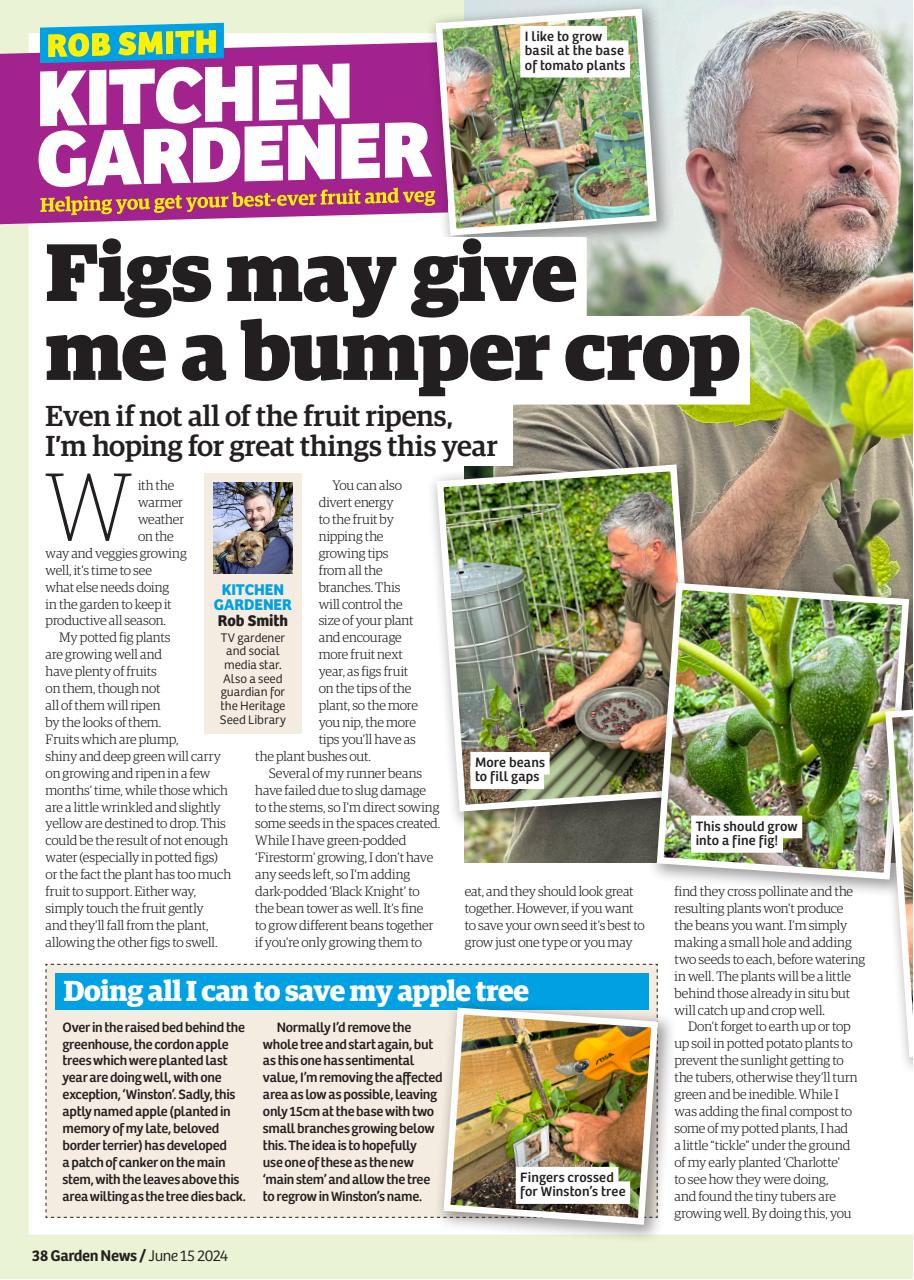 Garden News Preview Pages