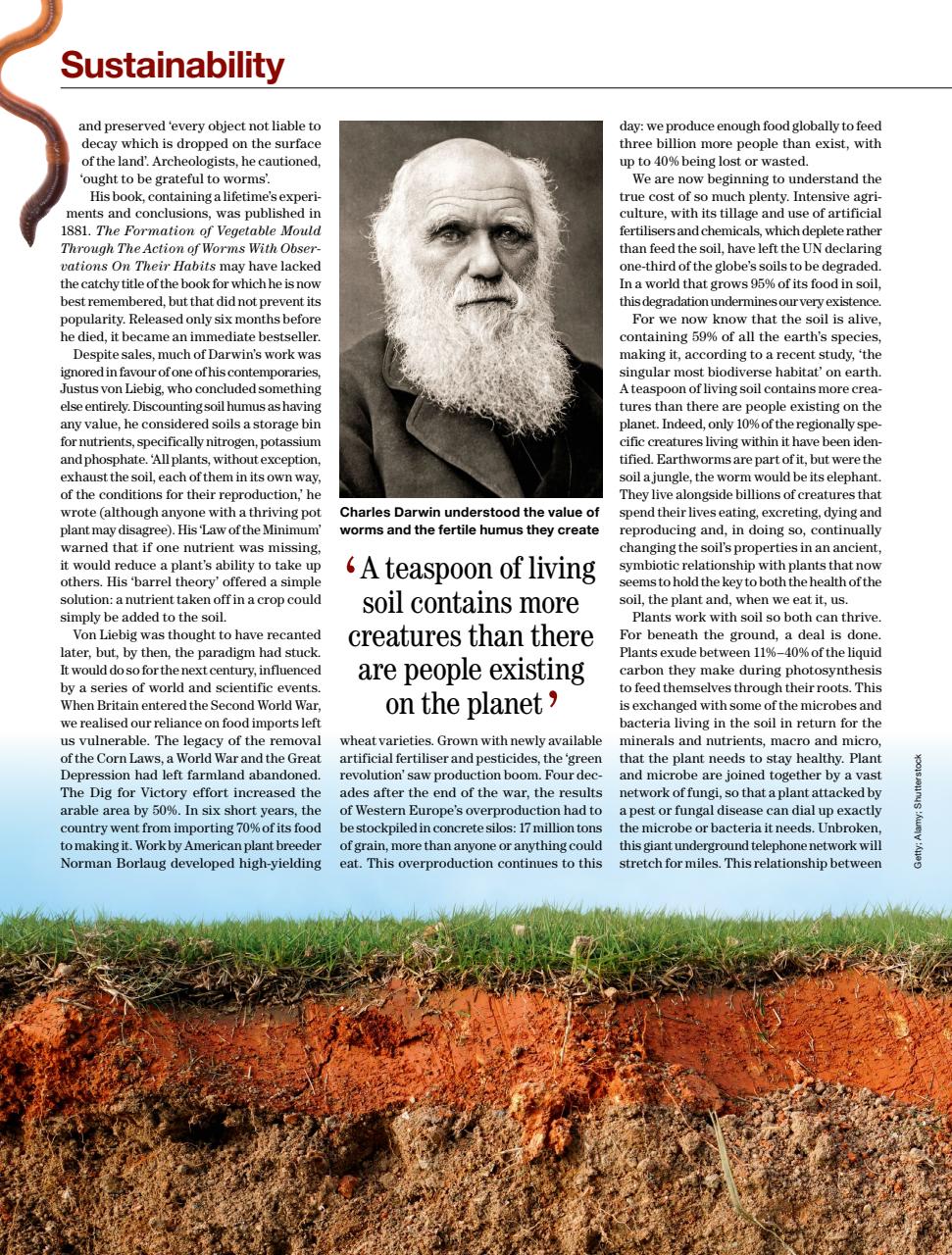 Country Life Preview Pages