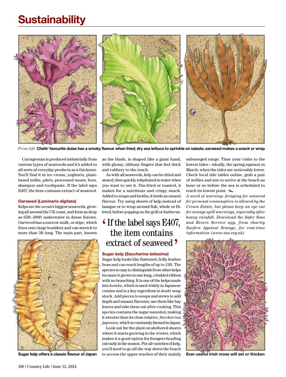 Country Life Preview Pages