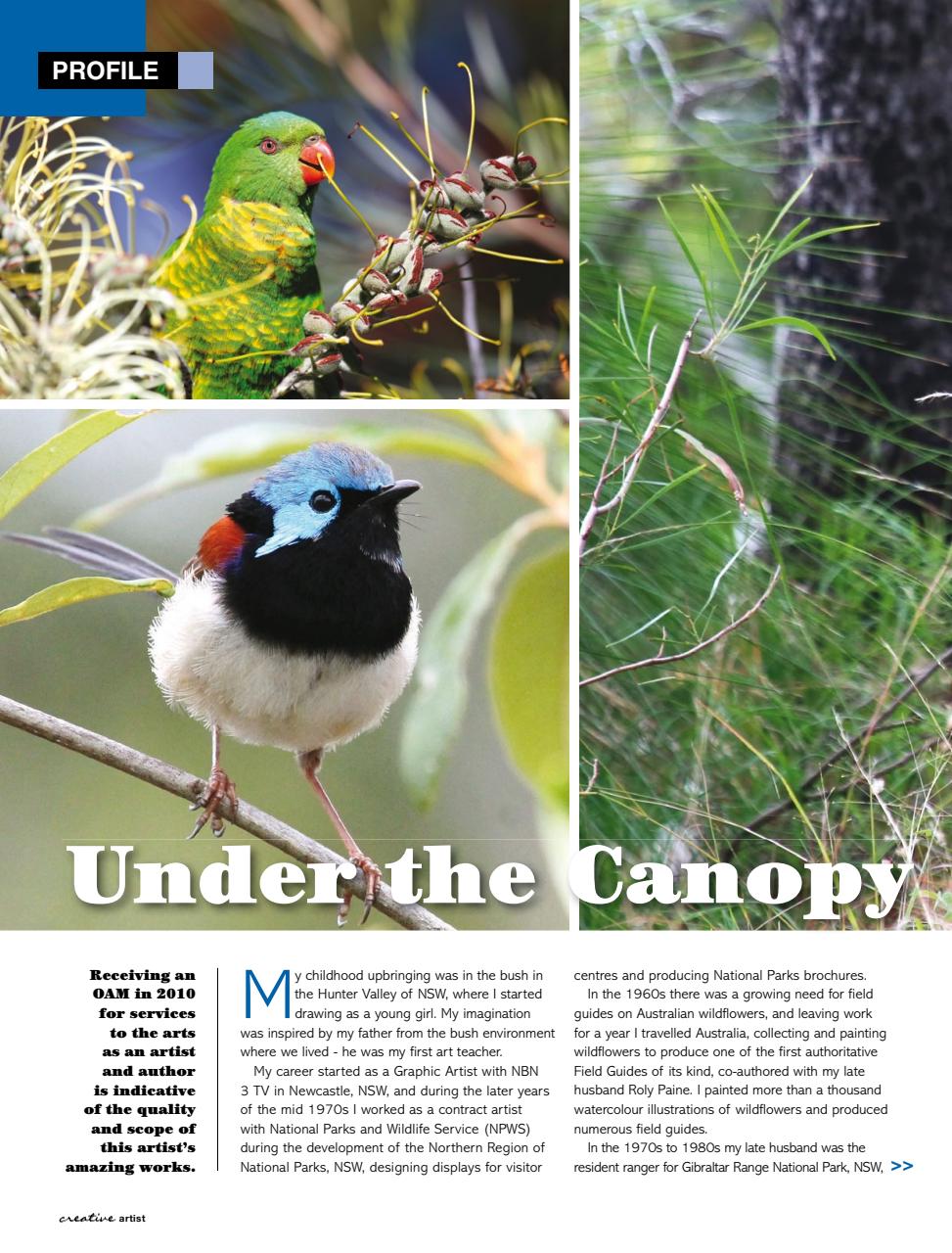 Creative Artist Preview Pages