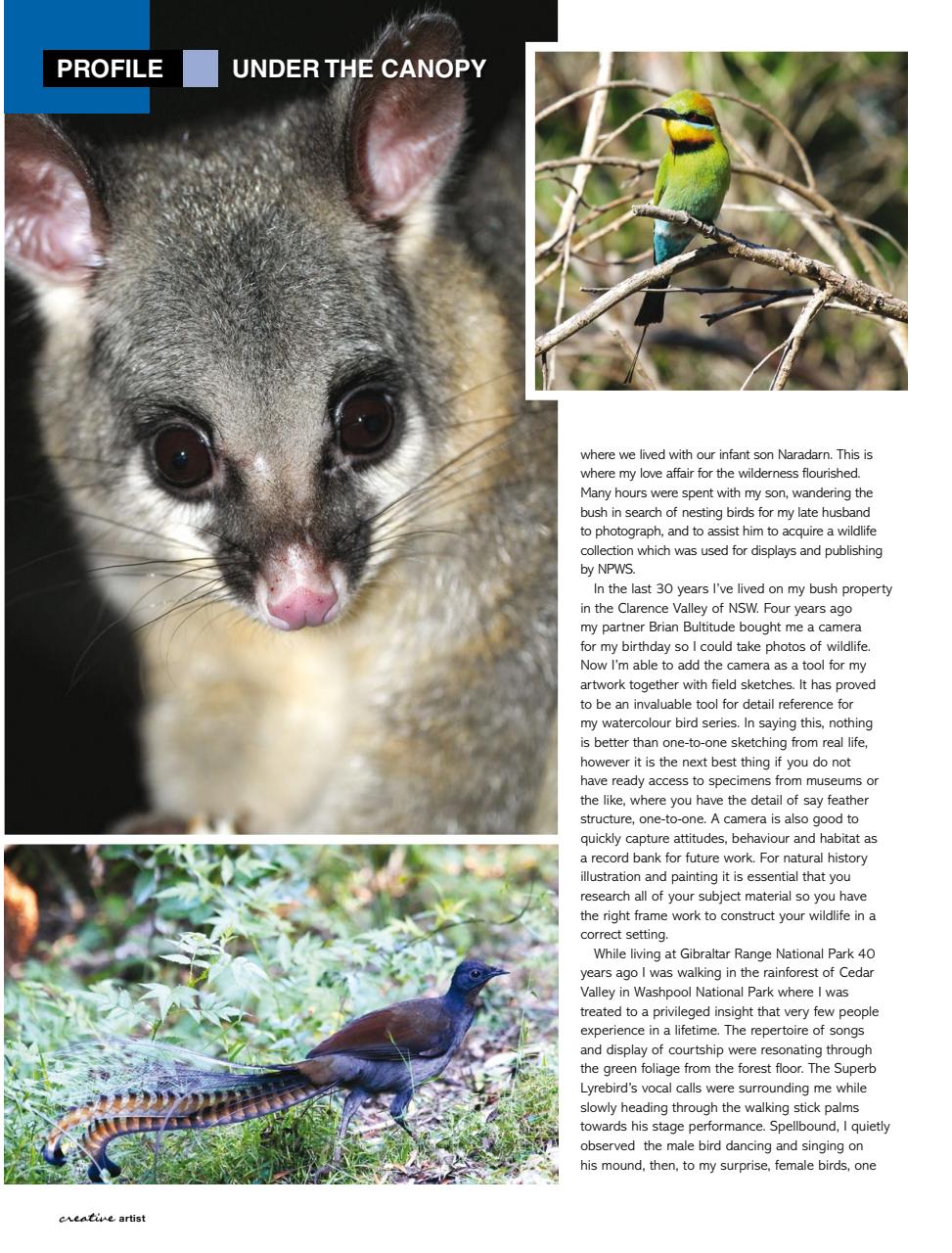 Creative Artist Preview Pages