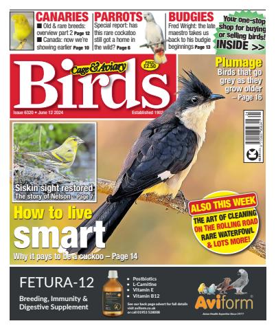 Cage & Aviary Birds issue 12-Jun-24