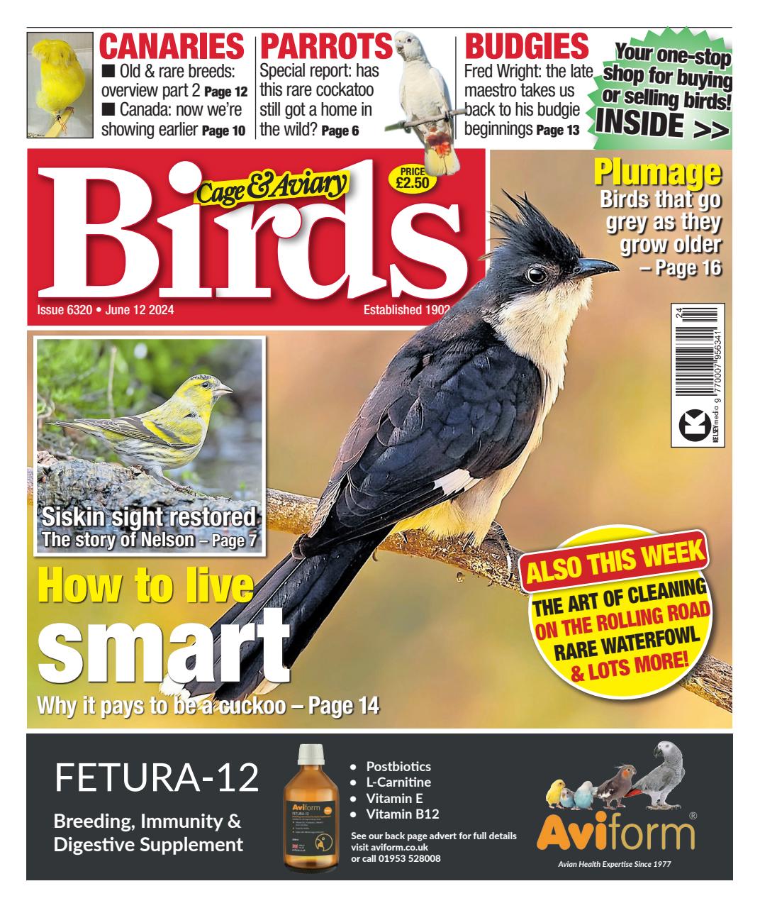 Cage & Aviary Birds Preview Pages