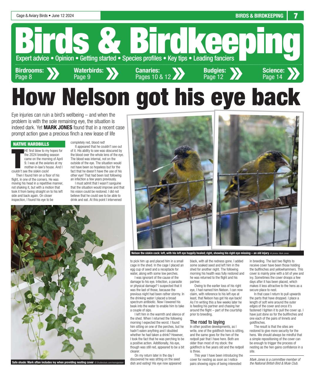 Cage & Aviary Birds Preview Pages