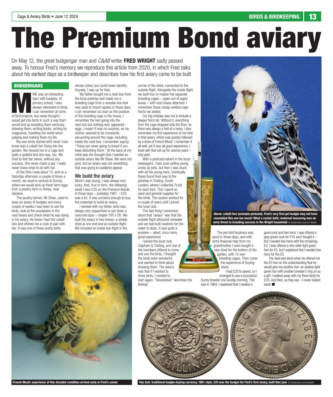 Cage & Aviary Birds Preview Pages