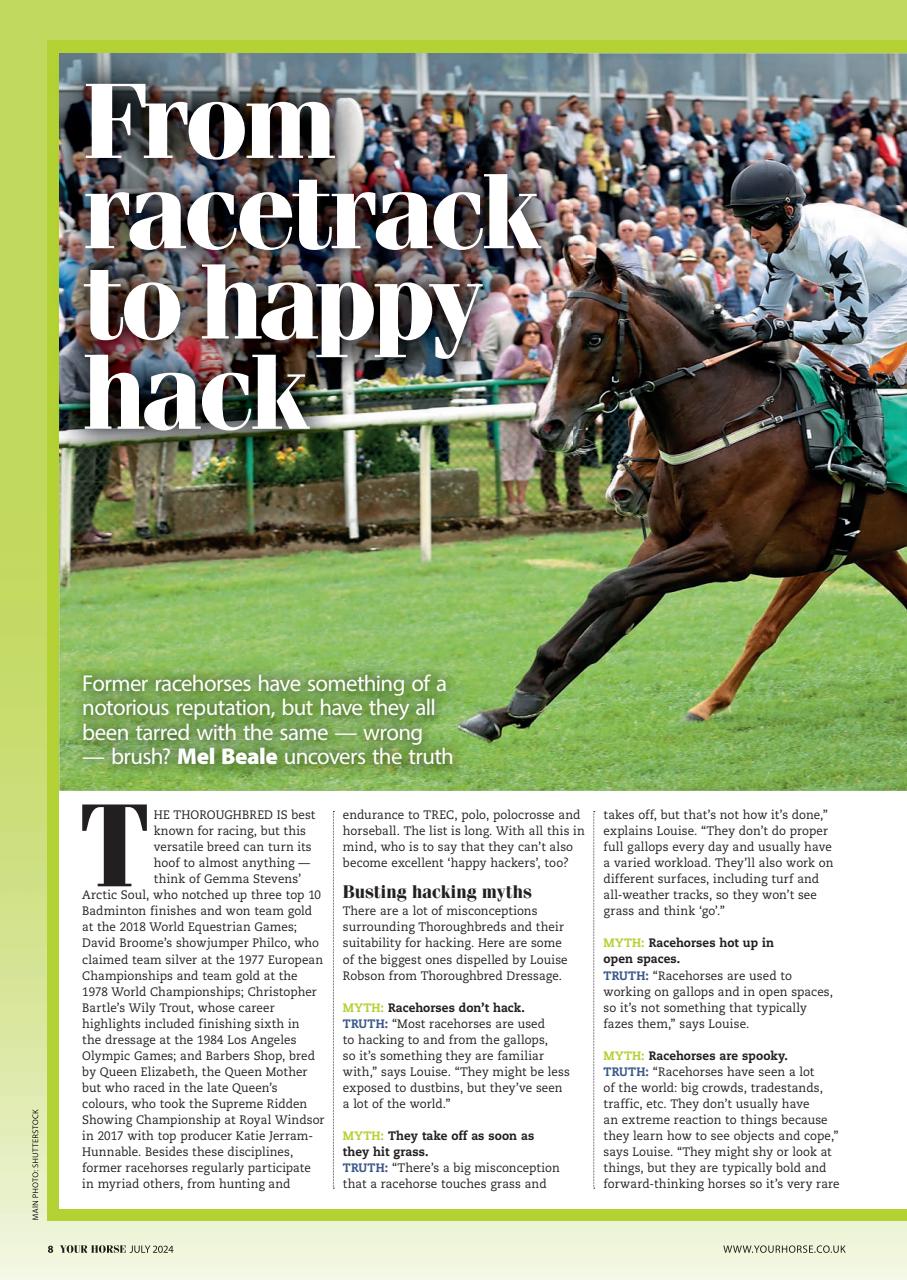Your Horse Preview Pages