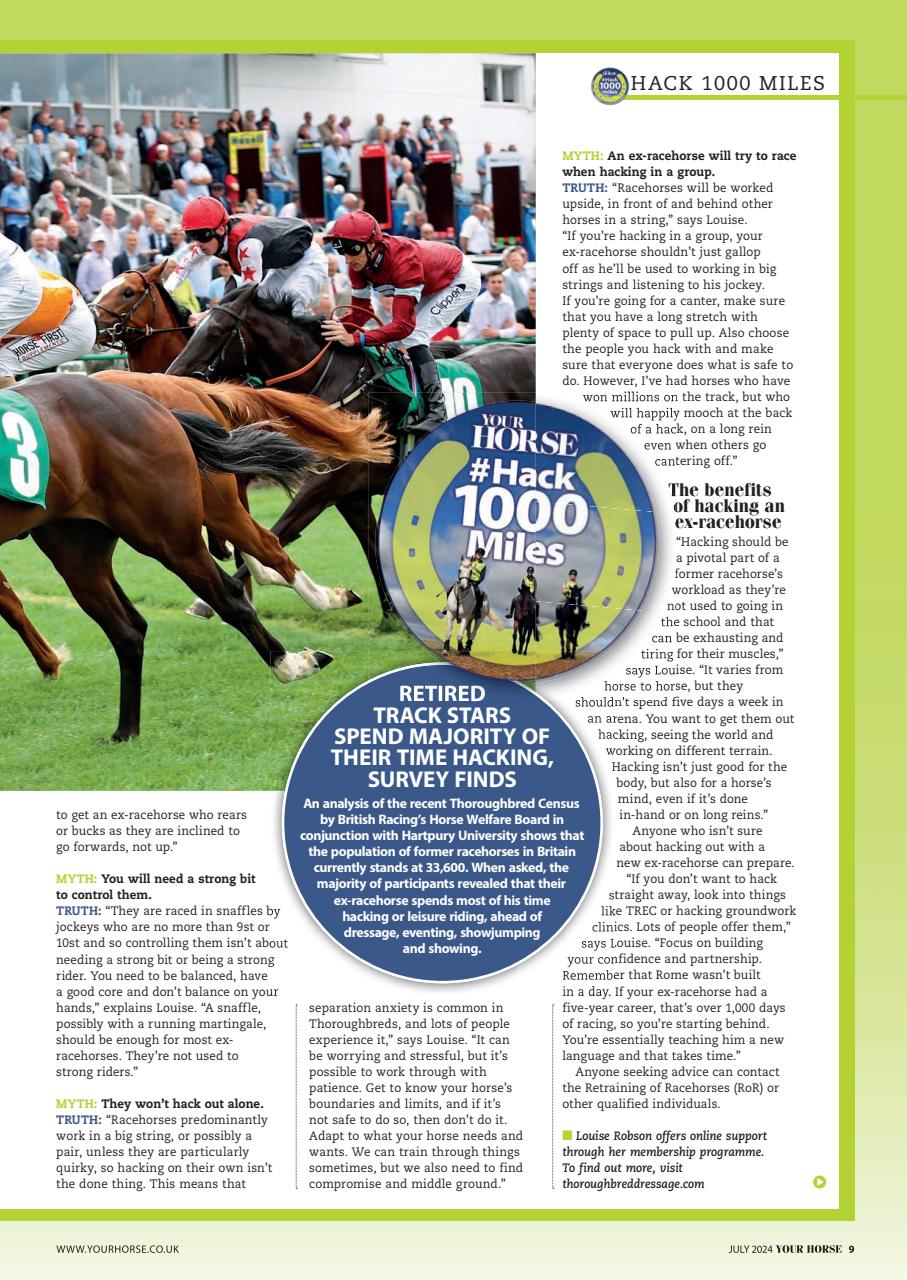 Your Horse Preview Pages