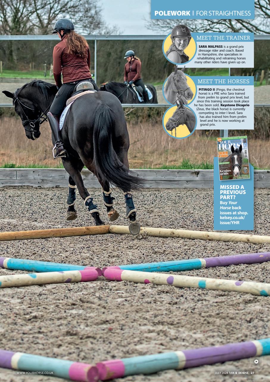 Your Horse Preview Pages