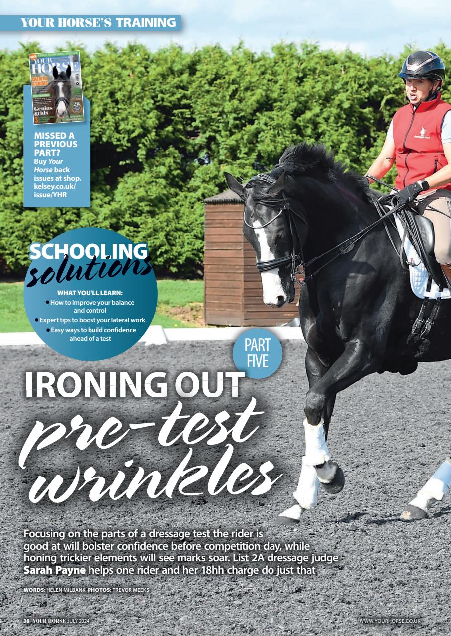 Your Horse Preview Pages