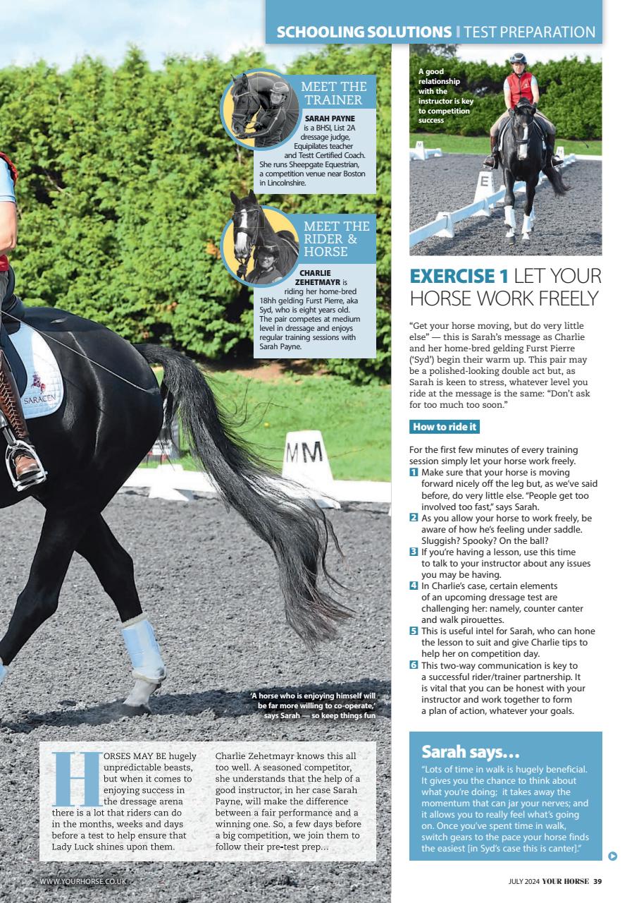 Your Horse Preview Pages