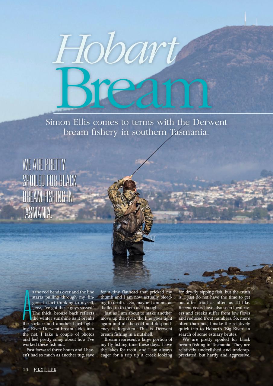 FlyLife Preview Pages