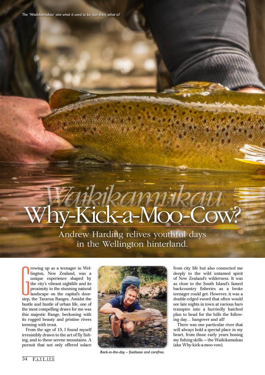 FlyLife Preview Pages