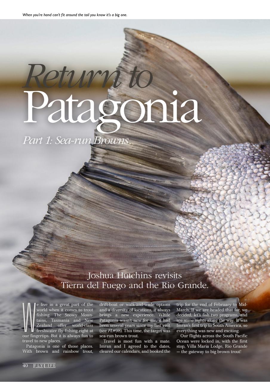 FlyLife Preview Pages