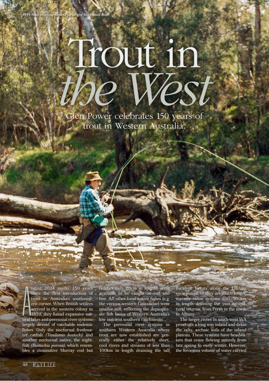 FlyLife Preview Pages