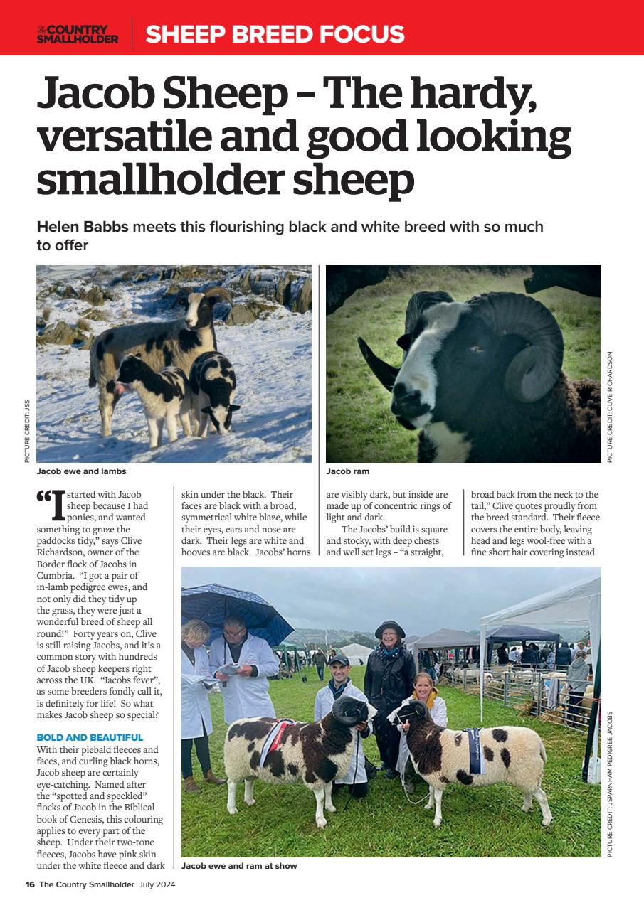 The Country Smallholder Preview Pages