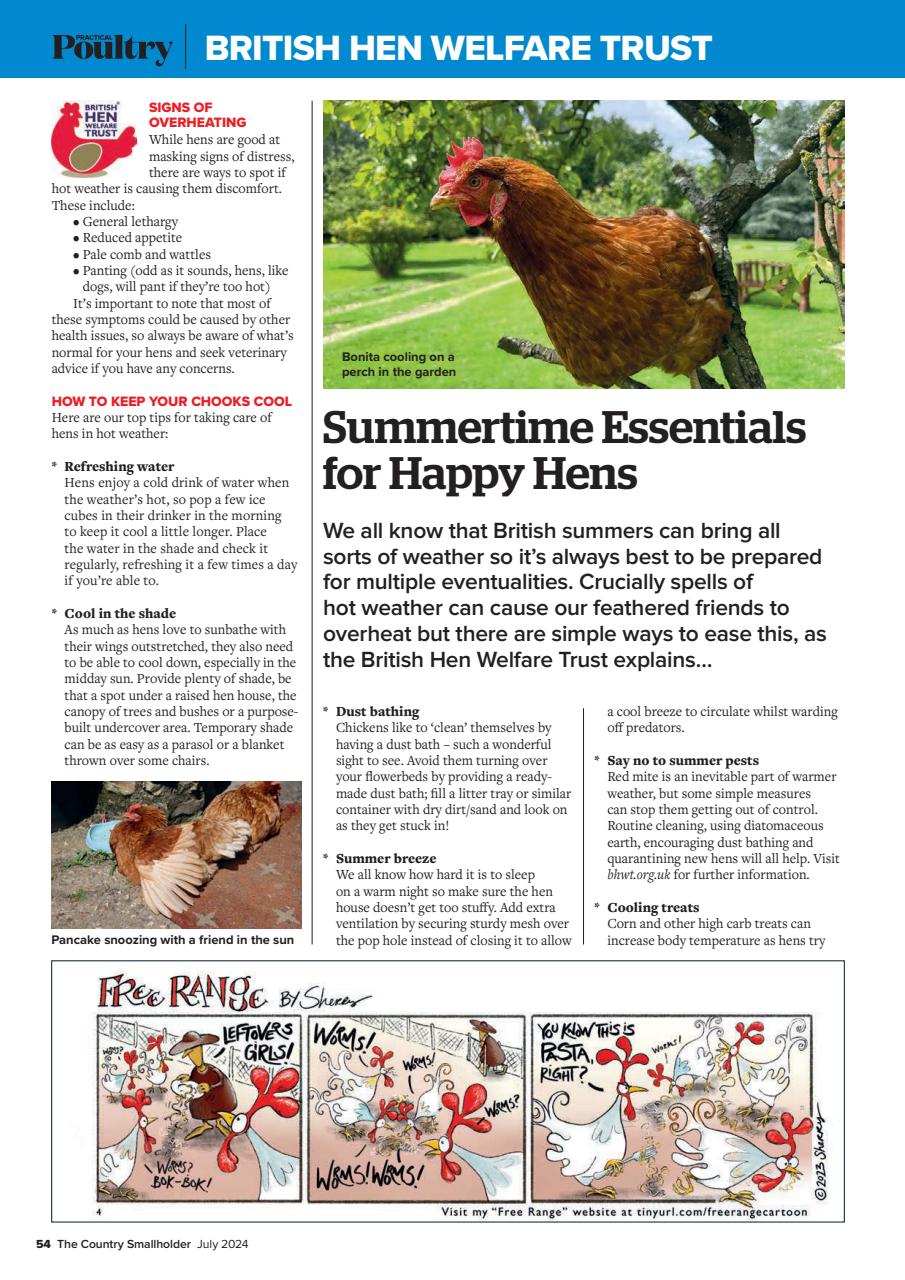 The Country Smallholder Preview Pages