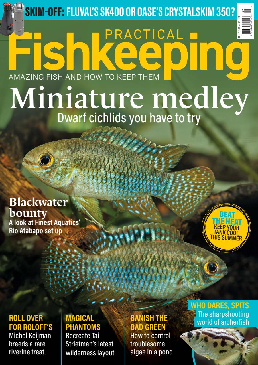 Practical Fishkeeping Preview Pages