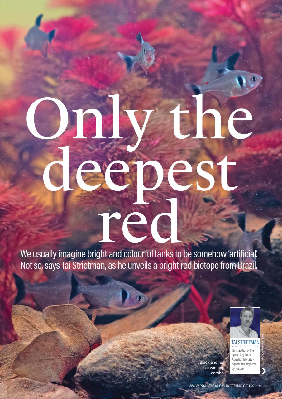 Practical Fishkeeping Preview Pages