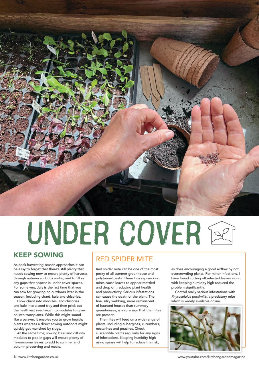 Kitchen Garden Magazine Preview Pages