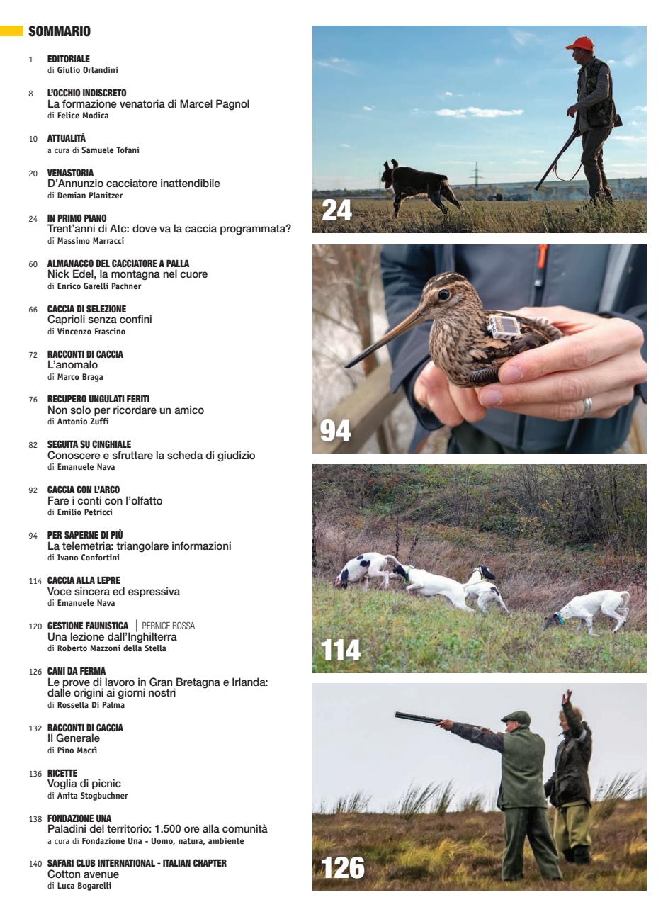 Caccia Magazine Preview Pages