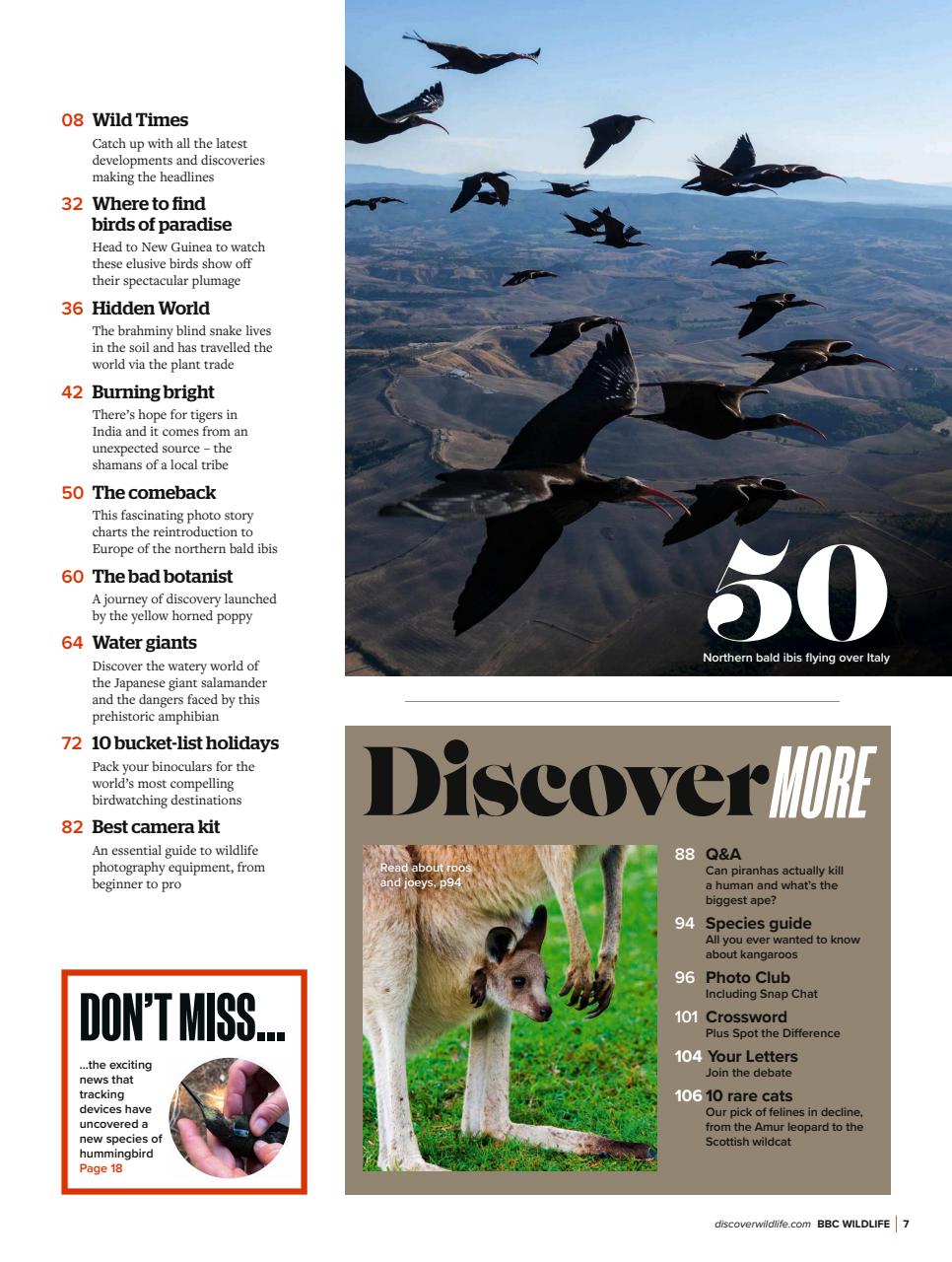 BBC Wildlife Magazine Preview Pages