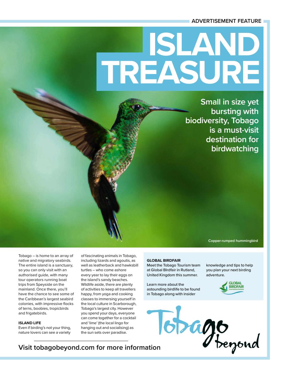 BBC Wildlife Magazine Preview Pages