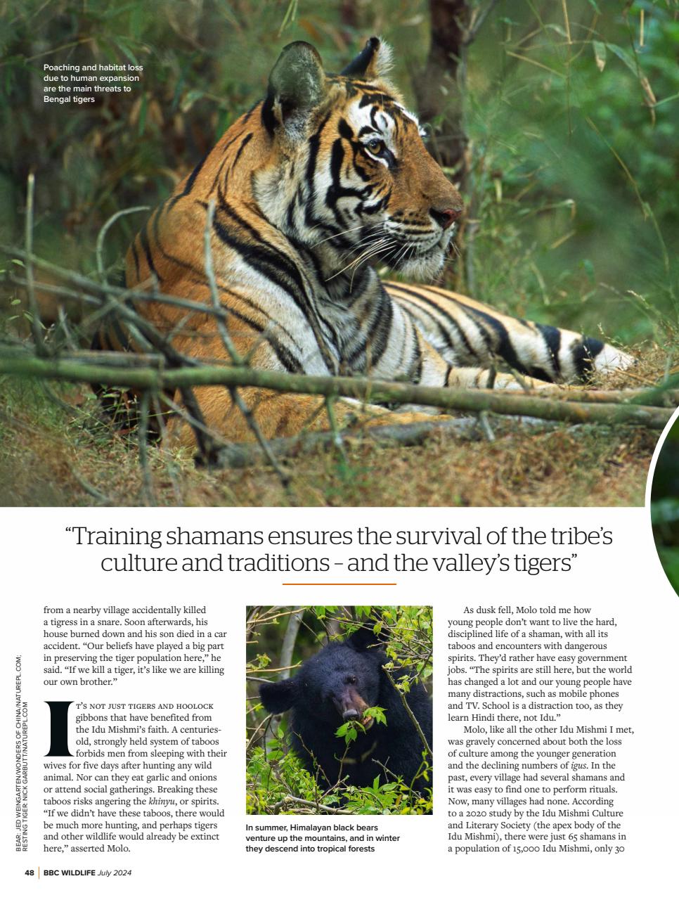 BBC Wildlife Magazine Preview Pages
