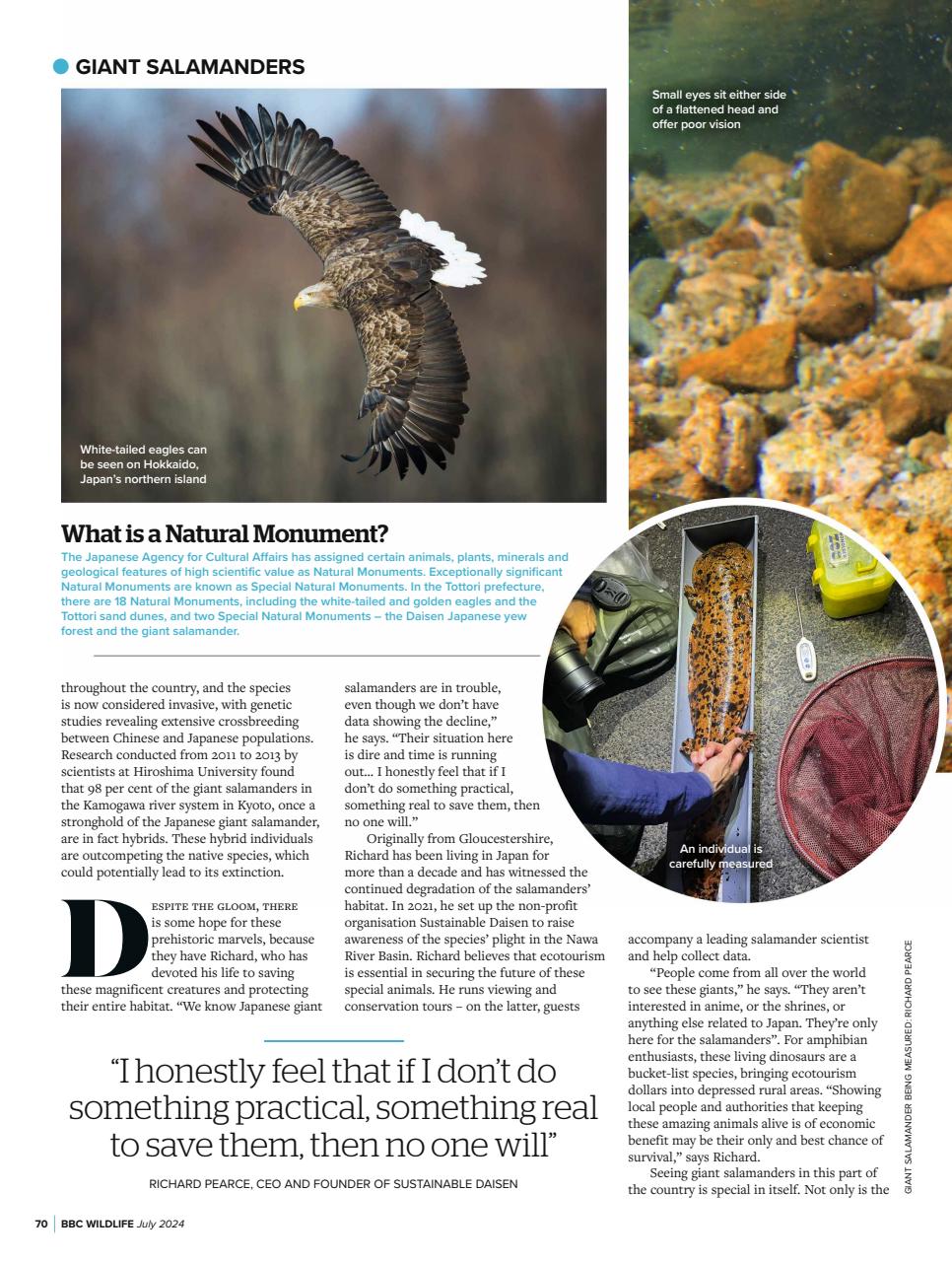 BBC Wildlife Magazine Preview Pages