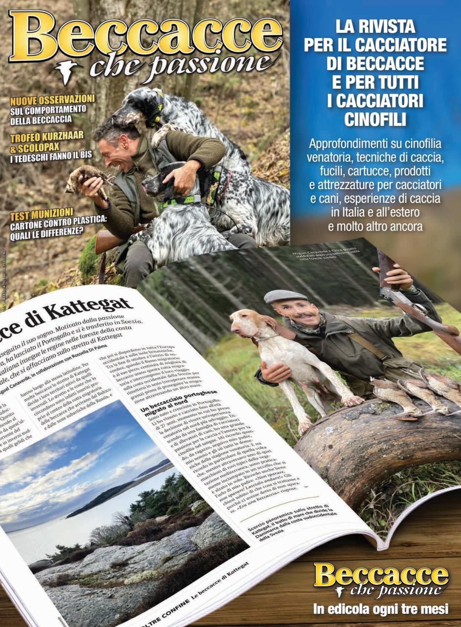 ARMI SHOP Preview Pages