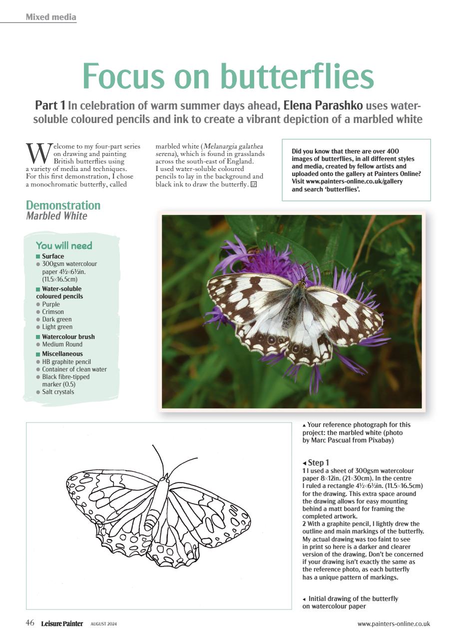 Leisure Painter & The Artist Preview Pages